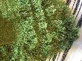 4C22    GREEN  Softened 100% Linen Heavy (7.1 oz/yd<sup>2</sup>)