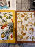 Pears - 2 Tea Towels