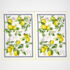 Farmers Lemon - 4 Tea Towels