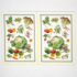 Green Market - 4 Tea Towels