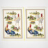 Sewing kits - Village Rooster - 2 Tea Towels