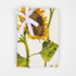 Sunflower Tablecloth Accompanied by a set of 4 Napkins and Two Tea Towels