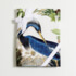 Sewing kits - Bird Atlas - 2 Tea Towels