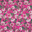 IC012  Susan  RASPBERRY ROSE / MLT  Softened 100% Cotton Light (3.4 oz/yd<sup>2</sup>)
