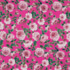 IC012 Poplin Raspberry Rose / Mlt Susan 100% Cotton Discount Fabric