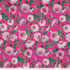 IC012 Poplin Raspberry Rose / Mlt Susan 100% Cotton Discount Fabric