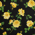 IC023 Donna Rosa BLACK / MLT Softened Fabric IC023 Donna Rosa BLACK / MLT Softened