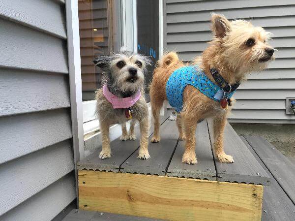 Janyce profile image