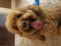 Amy profile image