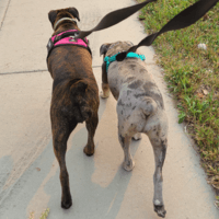 Heather profile image