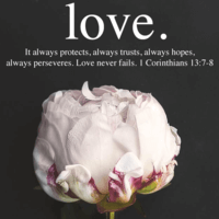 Debbie profile image