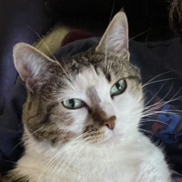 Nancy profile image