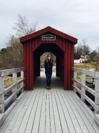 Bailey profile image