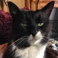 Jacquie profile image