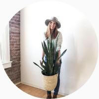 Molly profile image