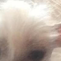 Kim profile image